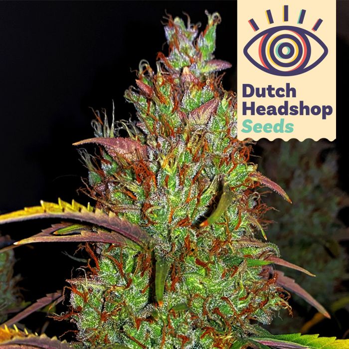 Auto Pineapple Chunk (Marque Privée) main product photo