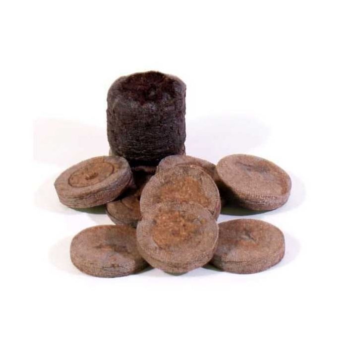 Plugs de germination (Jiffy) 10 pièces main product photo