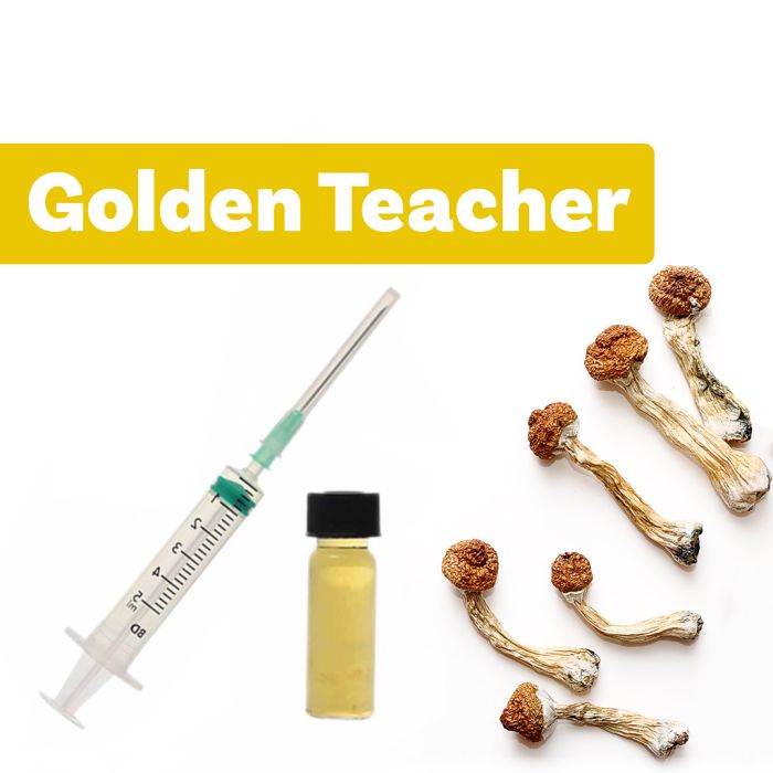 Culture de Champignons Magique | Liquid Culture Golden Teacher main product photo