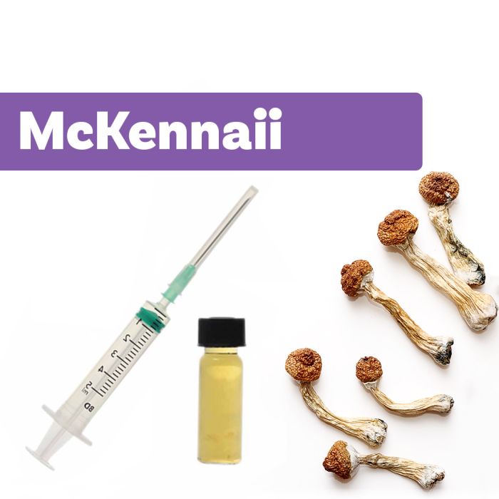 Culture de Champignons Magique | Liquid Culture McKennaii main product photo