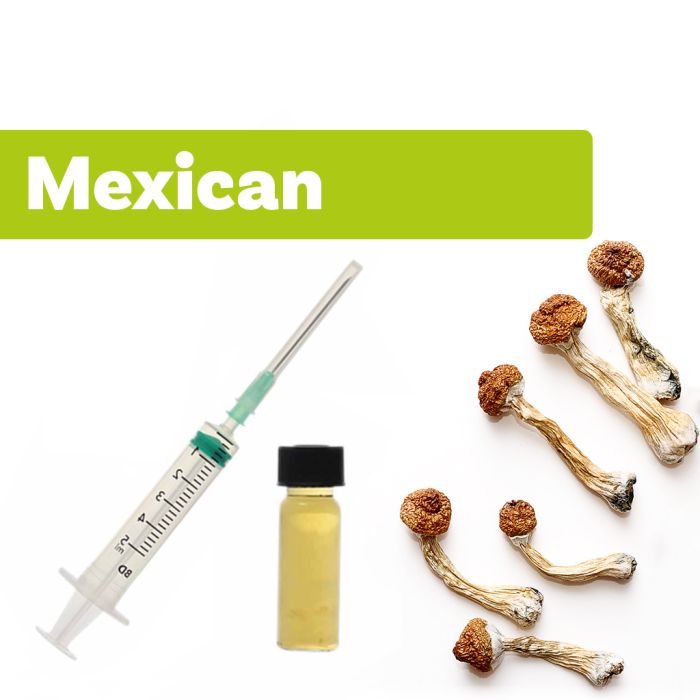 Culture de Champignons Magique | Liquid Culture Mexican main product photo