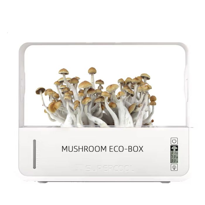 Growbox Champignons Hallucinogènes (Crownow) main product photo
