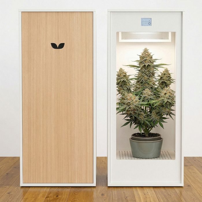 MiniGrow Box Armoire de Culture One main product photo