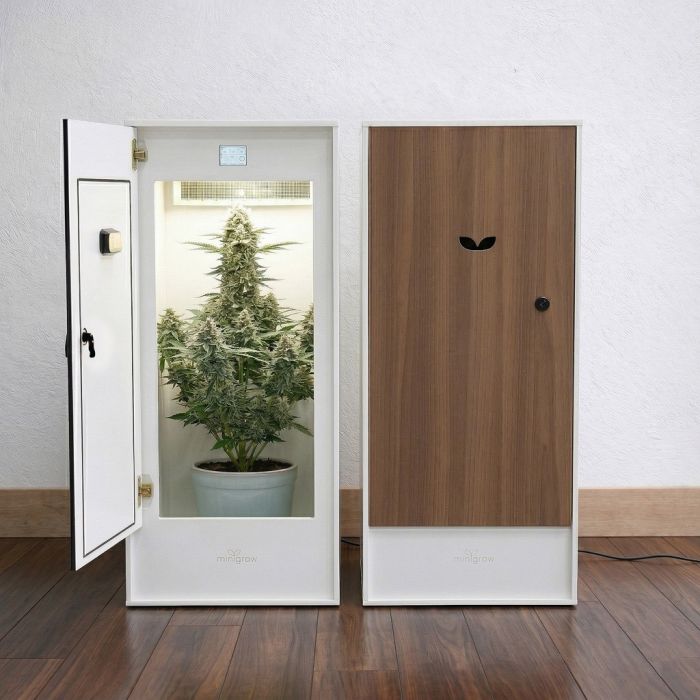 MiniGrow One Large Armoire de Culture main product photo