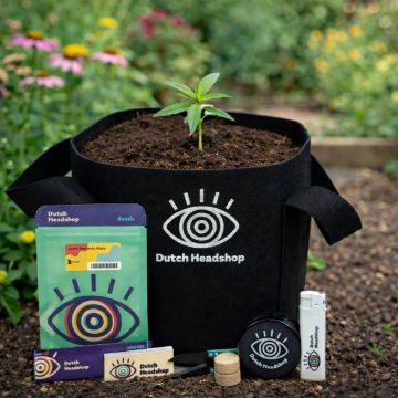 Dutch-Headshop Cultiver de Autoflower Cannabis All-in-One