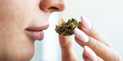 Comment éviter l’odeur de cannabis dans la maison ?