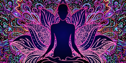 DMT - La molécule spirituelle ?