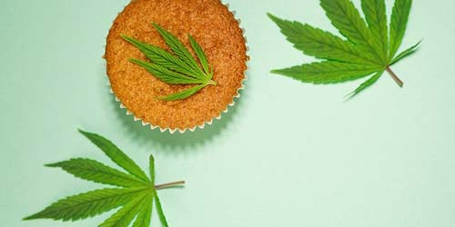 Fabrication de spacecake : La recette ultime de spacecake à base de beurre de cannabis