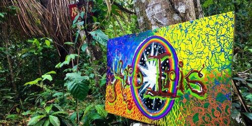 Tout sur les Ayahuasca et DMT Drogues en Europe
