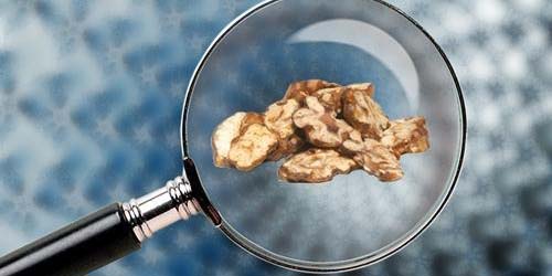 Microdosage Partie 1 : Truffes Hallucinogènes