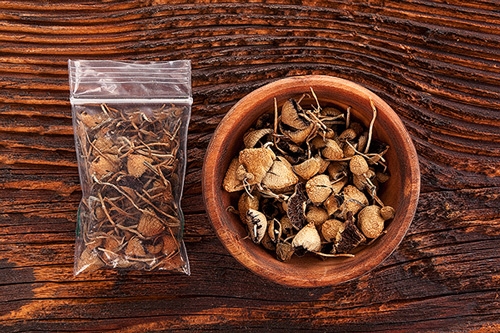 champignons hallucinog&egrave;nes