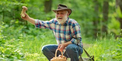 Les meilleures choses à faire pendant un Trip Psychédélique