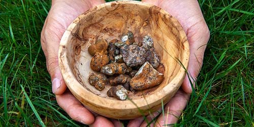 7 nouvelles drogues pour triper après les truffes hallucinogènes