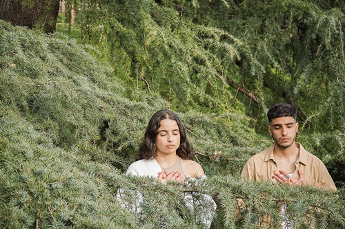 m&eacute;ditation dans le bois
