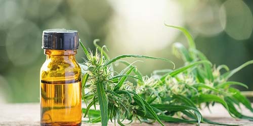 Quels produits CBD sont disponibles dans notre boutique