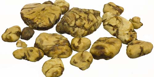 10 conseils pour une expérience de truffe hallucinogène inoubliable