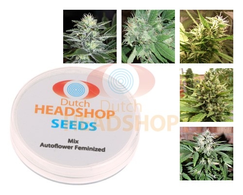 Mix Autoflowers Zaden Huismerk Mix Autoflowers Zaden Huismerk Dutch Headshop