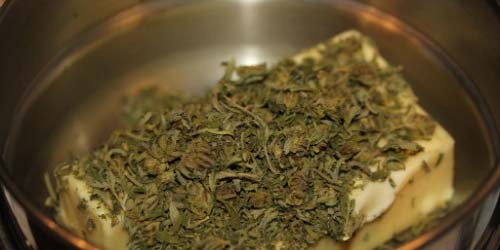 5 recettes faciles au cannabis à découvrir !