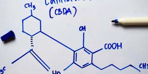 Effet et Propriétés du CBDA
