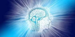 Rêver est-il équivalent à un trip sous drogues psychédéliques ?
