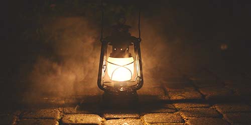 Programme de Culture et Spectre Lumineux : Tout sur de la Lumière dans la Culture de Dannabis en Intérieur