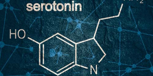 Un déficit en sérotonine ? Prenez du L-Tryptophane ou du 5-HTP contre les coups de blues qui suivent une prise de drogue