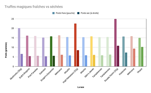Comment faire s&eacute;cher les truffes hallucinog&egrave;nes