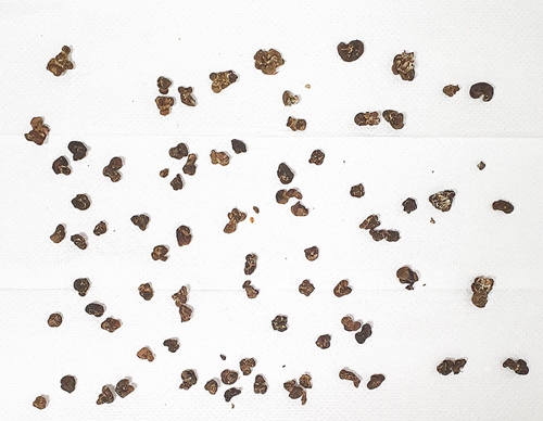 truffes s&eacute;ch&eacute;es